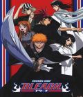 Bleach