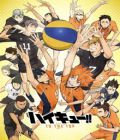 Haikyu!! (TV 4)