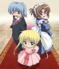 Hayate no Gotoku ! (TV 1)