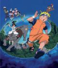 Naruto - Film 3 - Mission Spéciale au Pays de la Lune