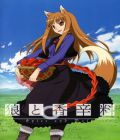 Spice and Wolf I