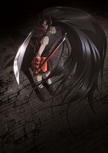 Akame Ga Kill!