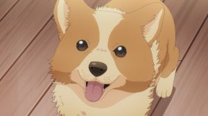 Inu ni Nattara Suki na Hito ni Hirowareta - Screenshot #4