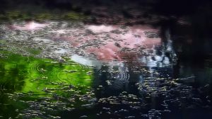The Garden of Words - Screenshot #4
