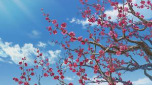 Les Carnets De l’Apothicaire (TV 1) - Screenshot #1