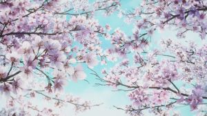 Sound! Euphonium (TV 3) - Screenshot #4