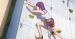 Iwa Kakeru! Sport Climbing Girls - Screenshot #8
