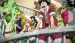 One Piece - Special 11 - Heart of Gold - Screenshot #5