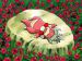Pokémon - Un Jour dans la Vie de Roigada - Screenshot #1