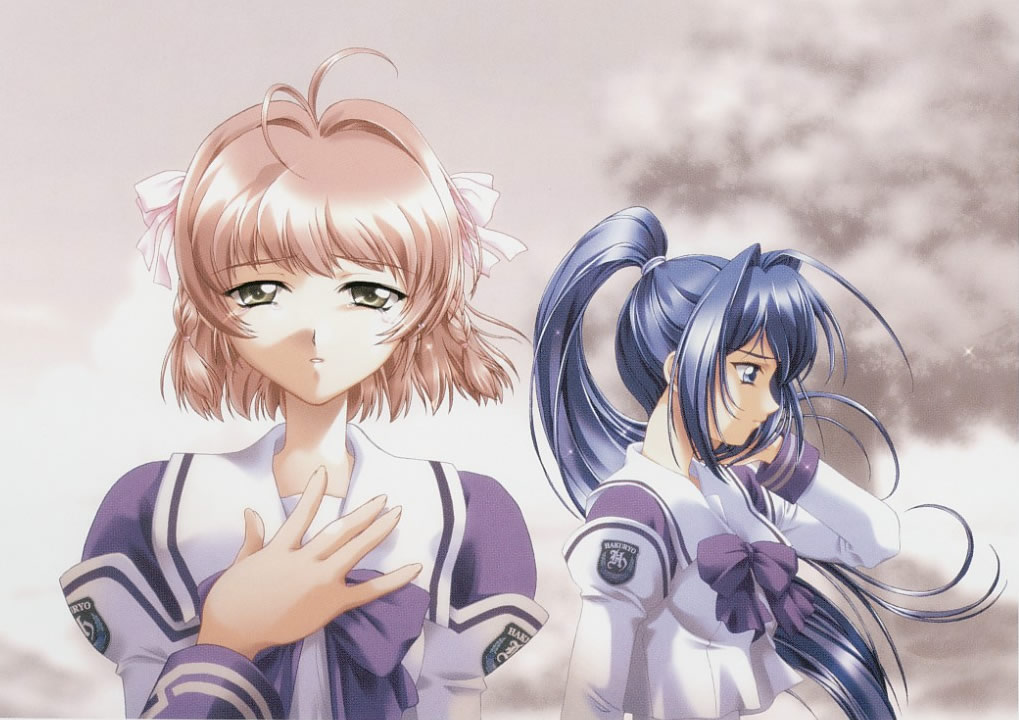 Artwork Kimi Ga Nozomu Eien