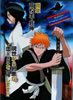 Bleach