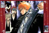 Bleach