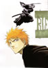 Bleach - All Color but the Black