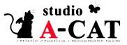 Studio A-Cat