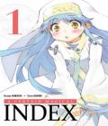 A Certain Magical Index