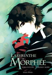 Le Labyrinthe de Morphée