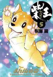 ShibaO