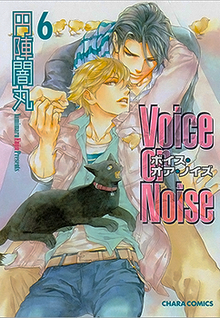 Voice Or Noise