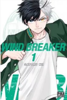 Wind Breaker