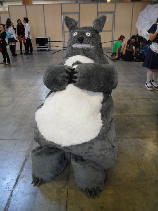 Totoro Totoro...